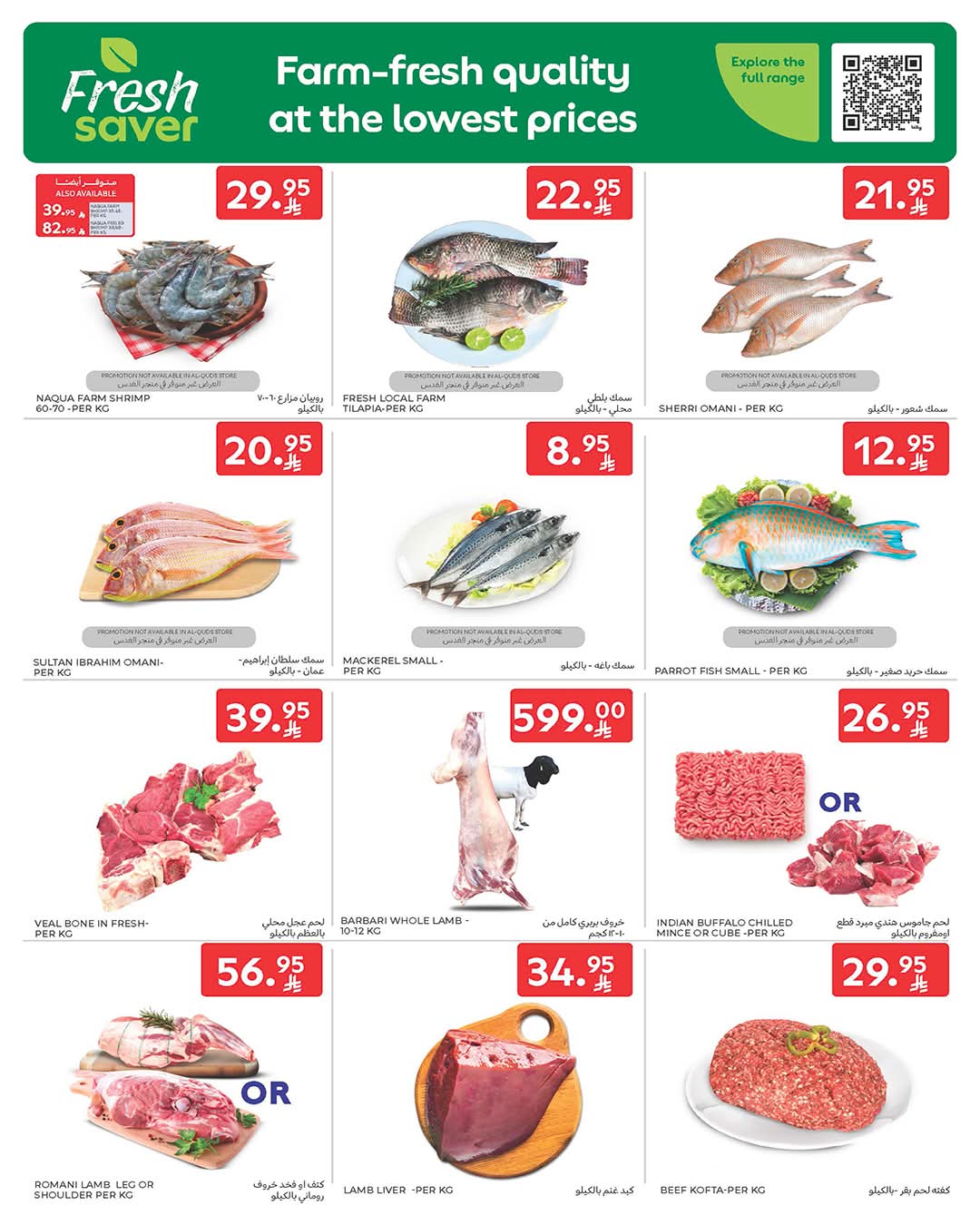 FB IMG 1765950728693